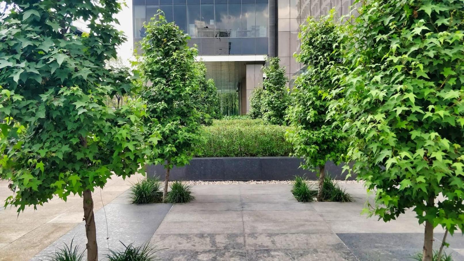 Appartement Luxurious High-rise Hs Wifi, Amazing Views Mexico